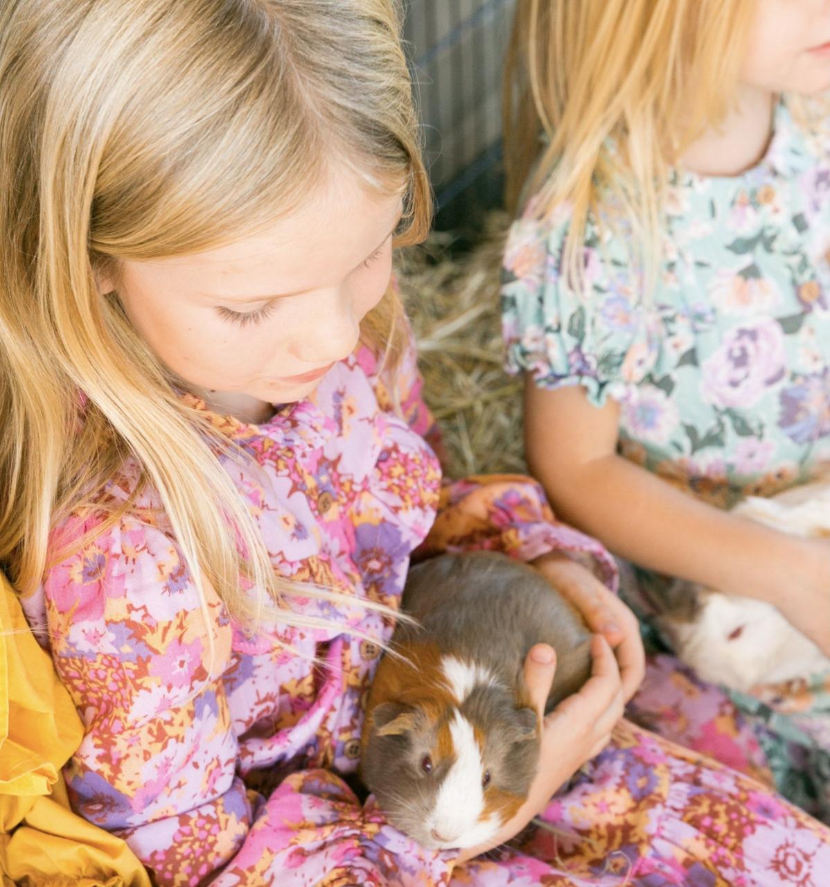 Animal Encounters