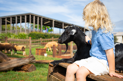 Mini Farmers Workshop 