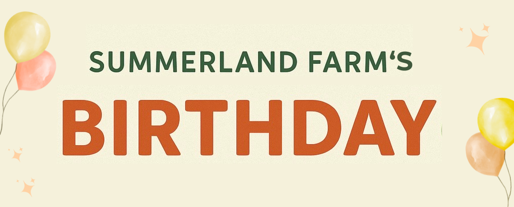 Birthday in the Park