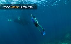 Package Snorkelling - 3 Days