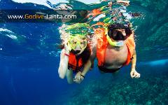 Package Snorkelling - 2 Days