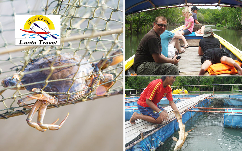 Crabbing trips Clearance