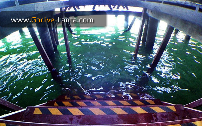 Diving Trip : The Jetty