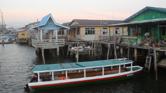 Full Brunei Experience - City Excursion - Water Village and Mangrove Safari