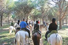 Horseback Riding at Natural Park & City Tour from Cádiz