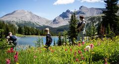 5 Day  HIKING IN ROCKIES & WILDFLOWER TOUR  with Professional Naturalist Frank Fraser/ Carol