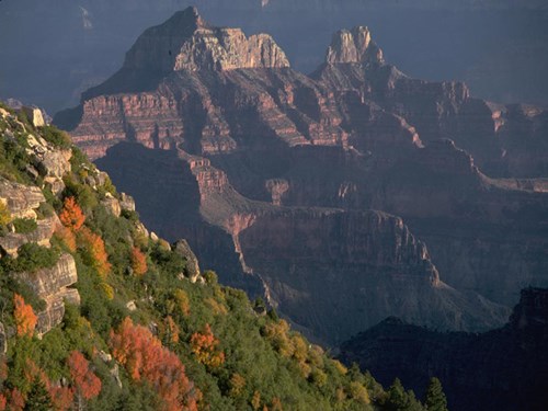 Z2018 North Rim Fall Colors Photography