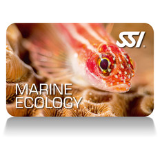 SSI Marine Ecology 