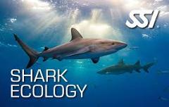 SSI Shark Ecology 