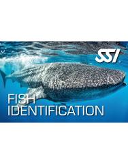 SSI Fish Identification 