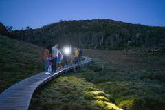 Cradle Mountain Night Spotting