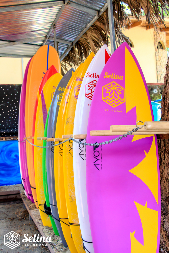 Surfboard rent full day