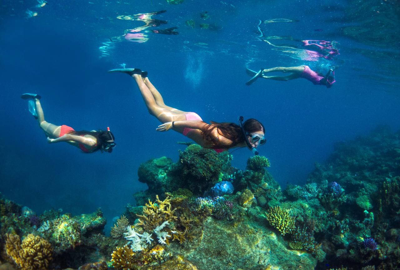 Full Day Island & Reef Day Sail ex Denarau/Nadi