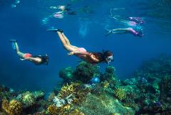 Full Day Island & Reef Day Sail ex Denarau/Nadi