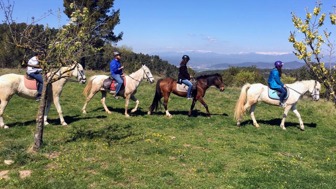 Horseback riding in the Pyrenees