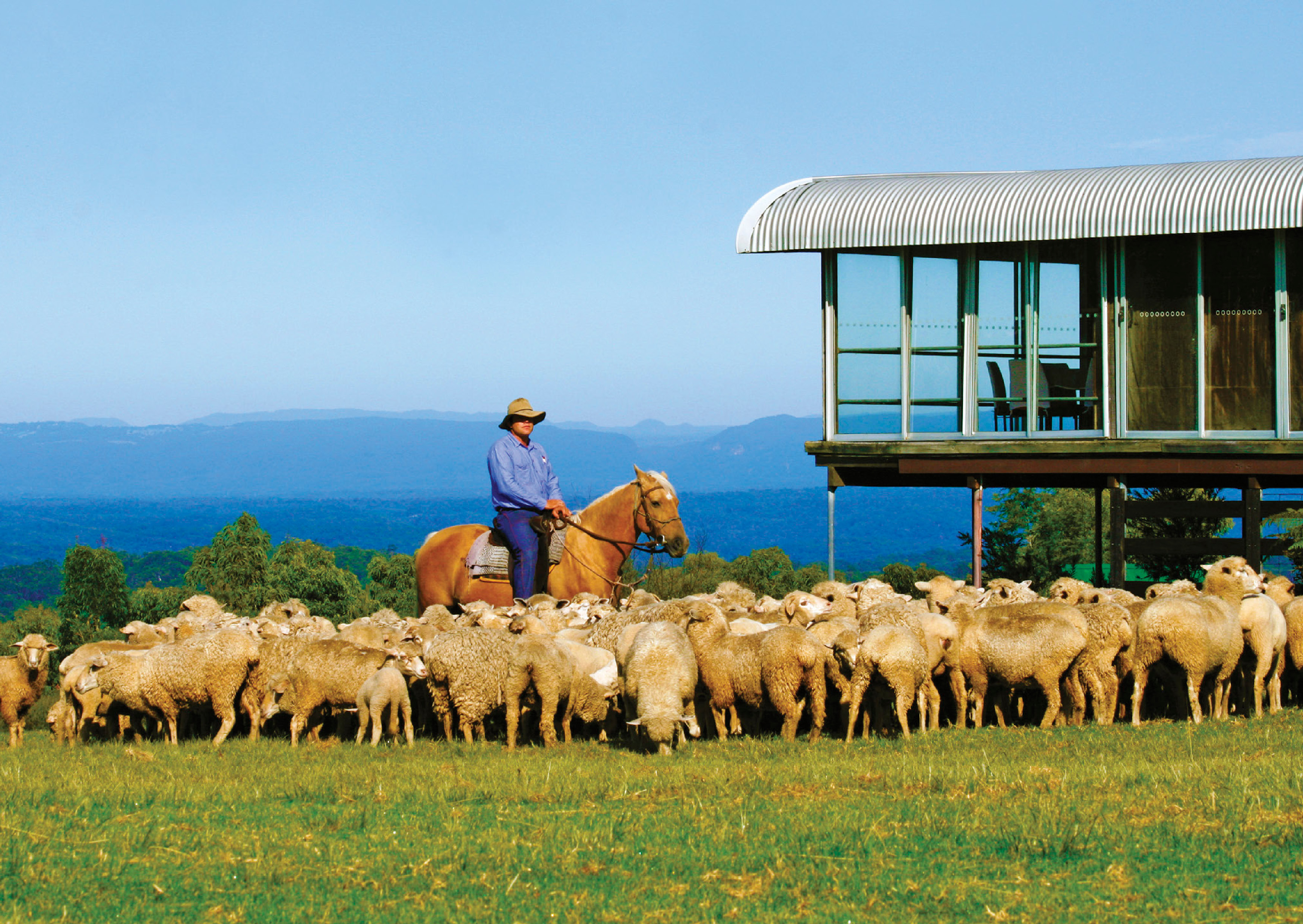 蓝山(兰山,蓝山)   托布鲁克农庄一日游blue mountain