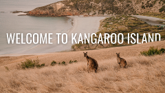 Welcome to Kangaroo Island