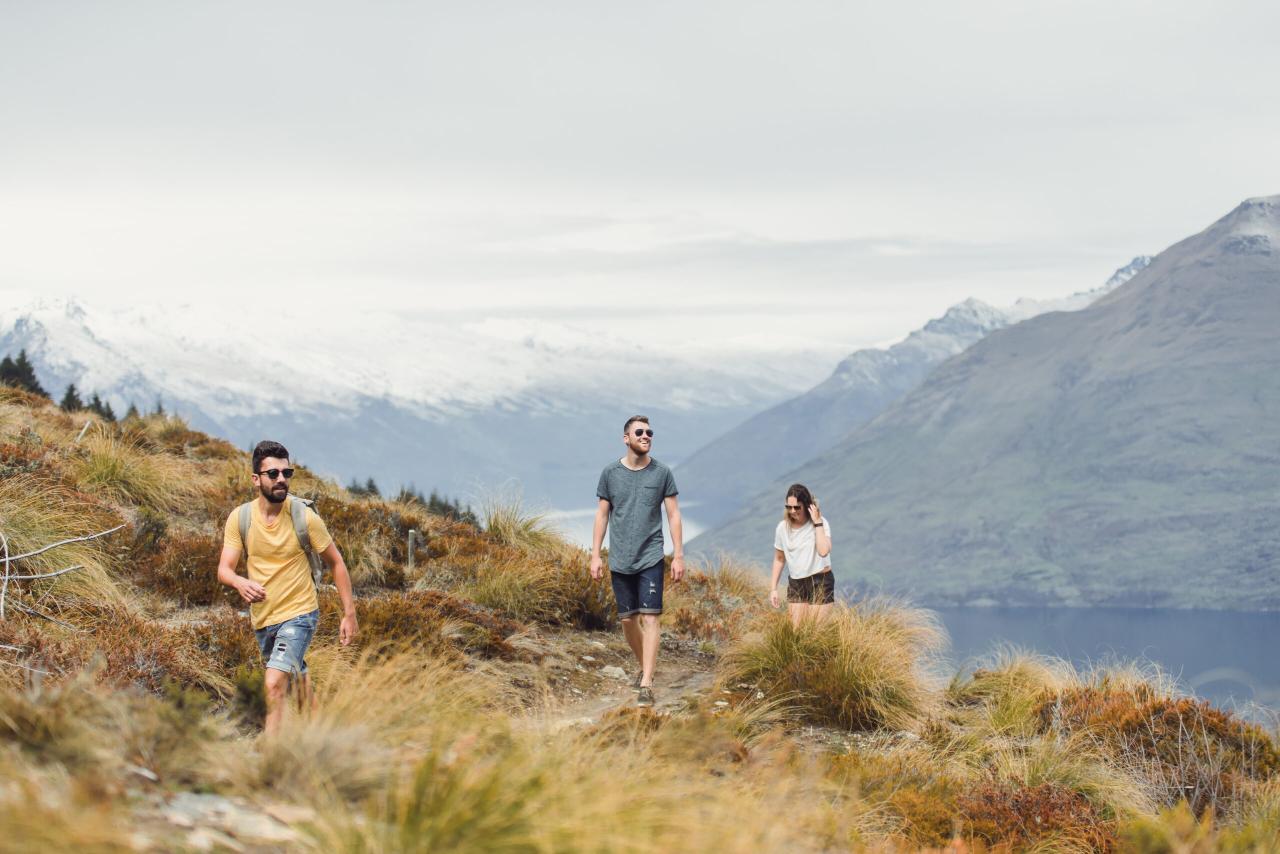 Welcome to NZ