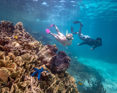 USyd | Spring Break Cairns