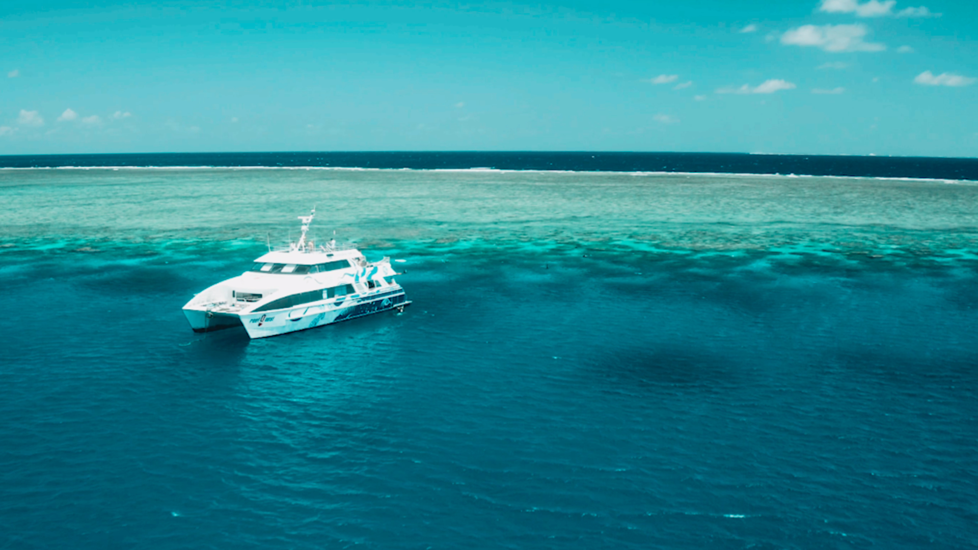 Australia East Coast: The End Of Semester