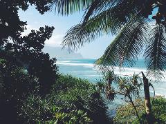 Bali Surf Retreat with Kylee Campbell