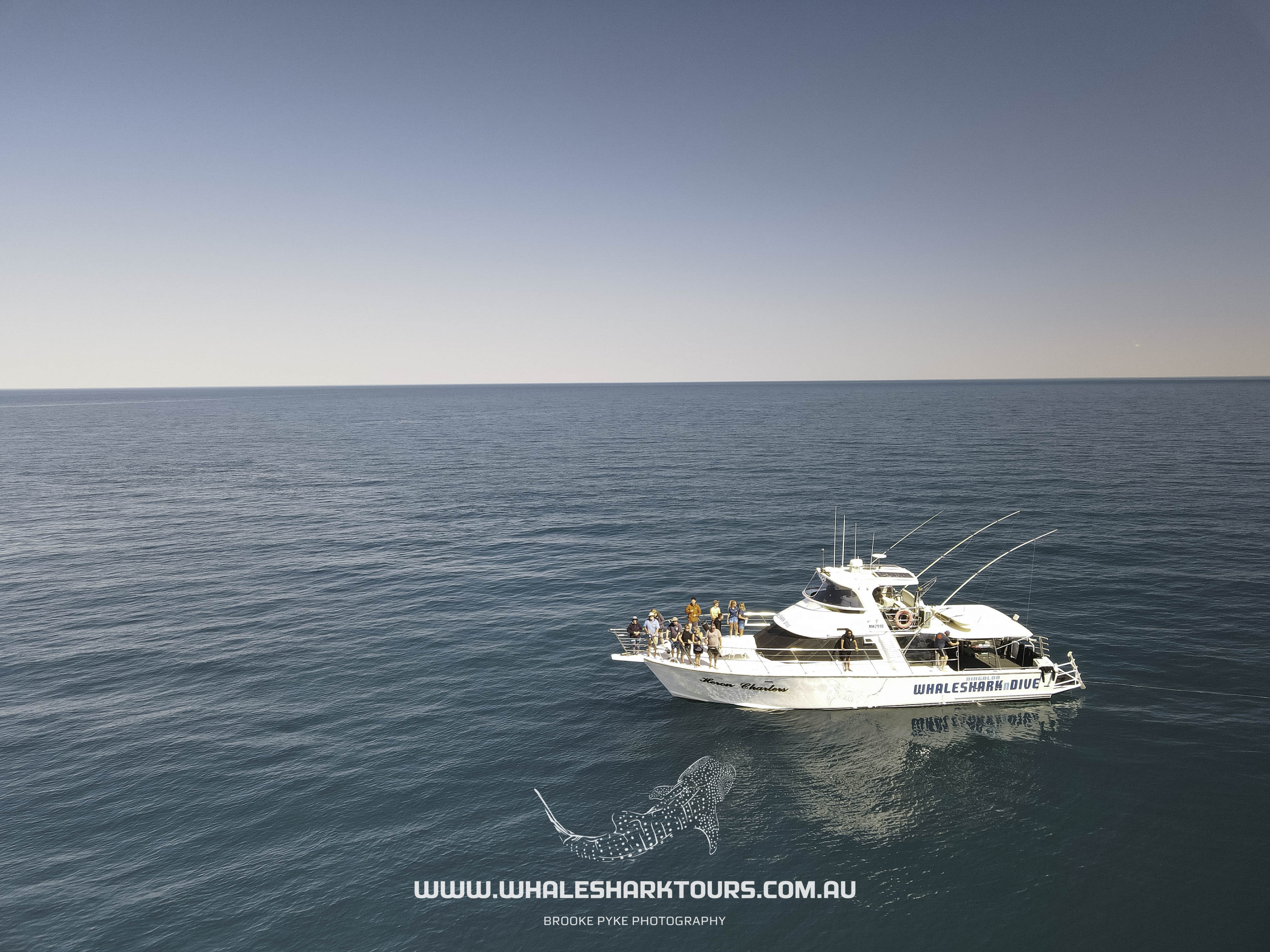 Sunset Humpback Whale Watching Cruise - August to Late October