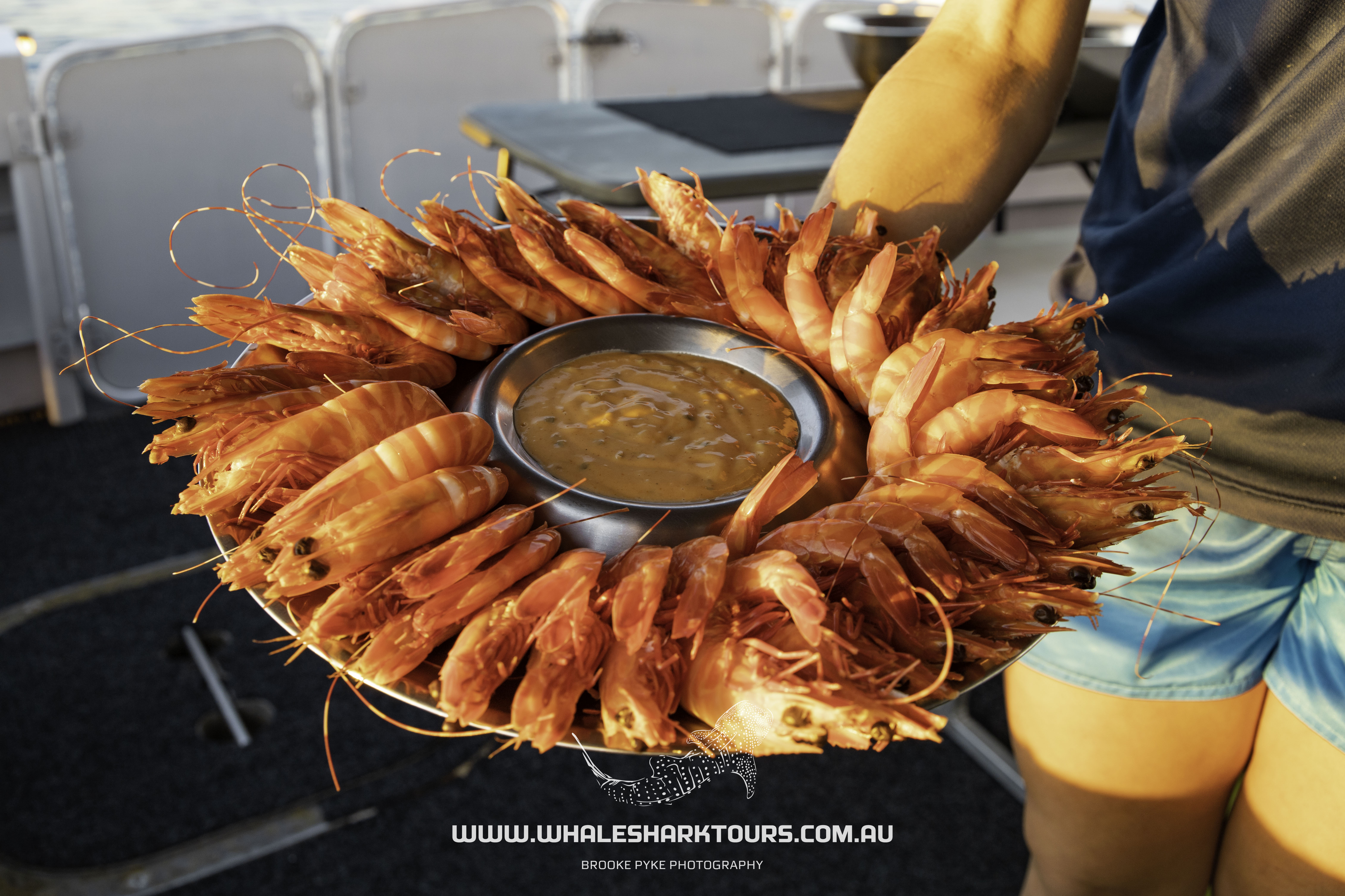 Sunset Humpback Whale Watching Cruise - August to Late October