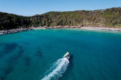 Noosa Ocean Tour & Dolphin Safari