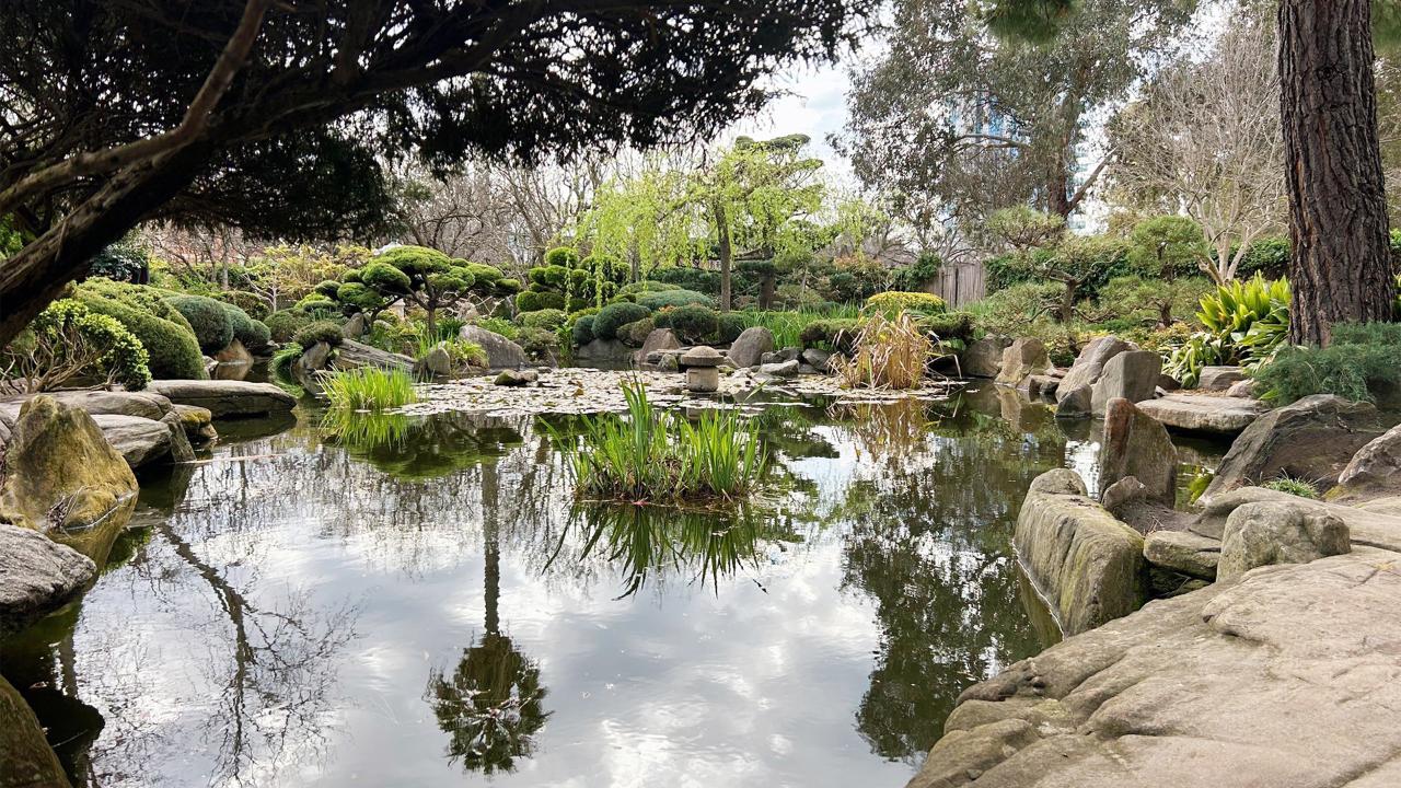Forest Bathing Adelaide