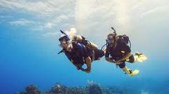 Scuba Diving with Padi License 