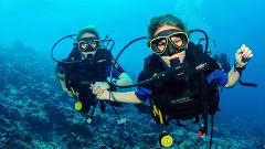 Discover Scuba Diving without Padi License