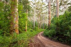 Beyond the Farm Gate