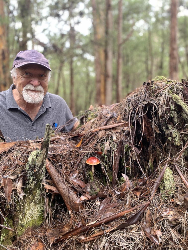 Karri Forest Mushroom Adventure
