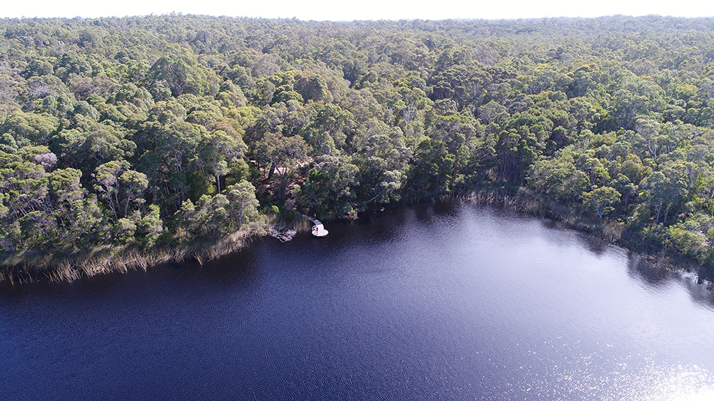 Beach and Forest Eco Adventure