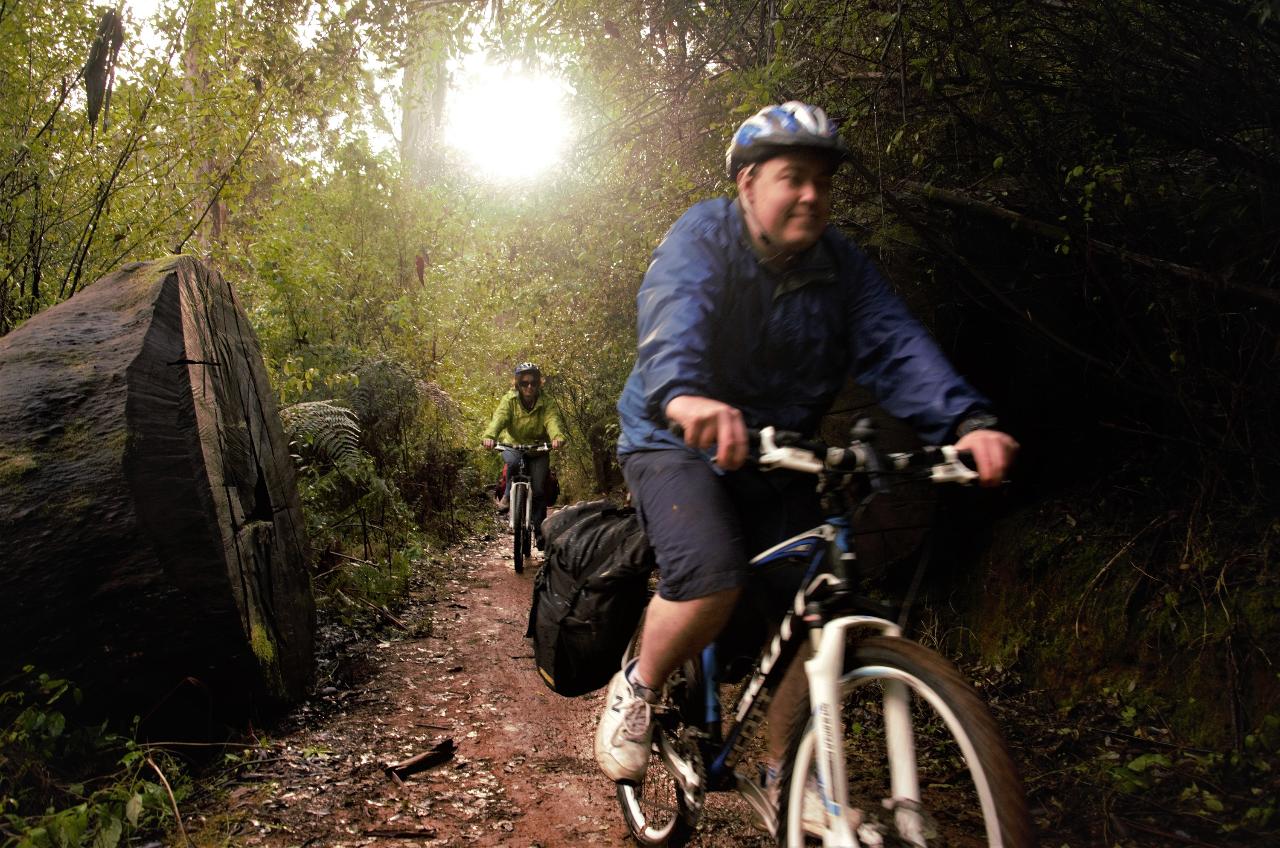 Pemberton MTB Karri Trails Shuttle Sessions