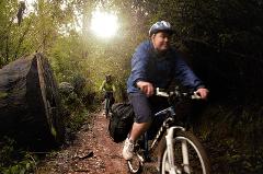 Pemberton MTB Karri Trails Shuttle Sessions