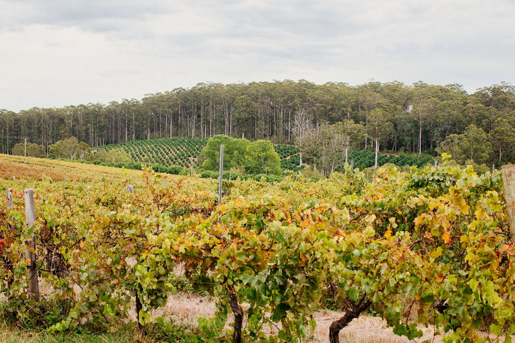 Beyond the Farm Gate