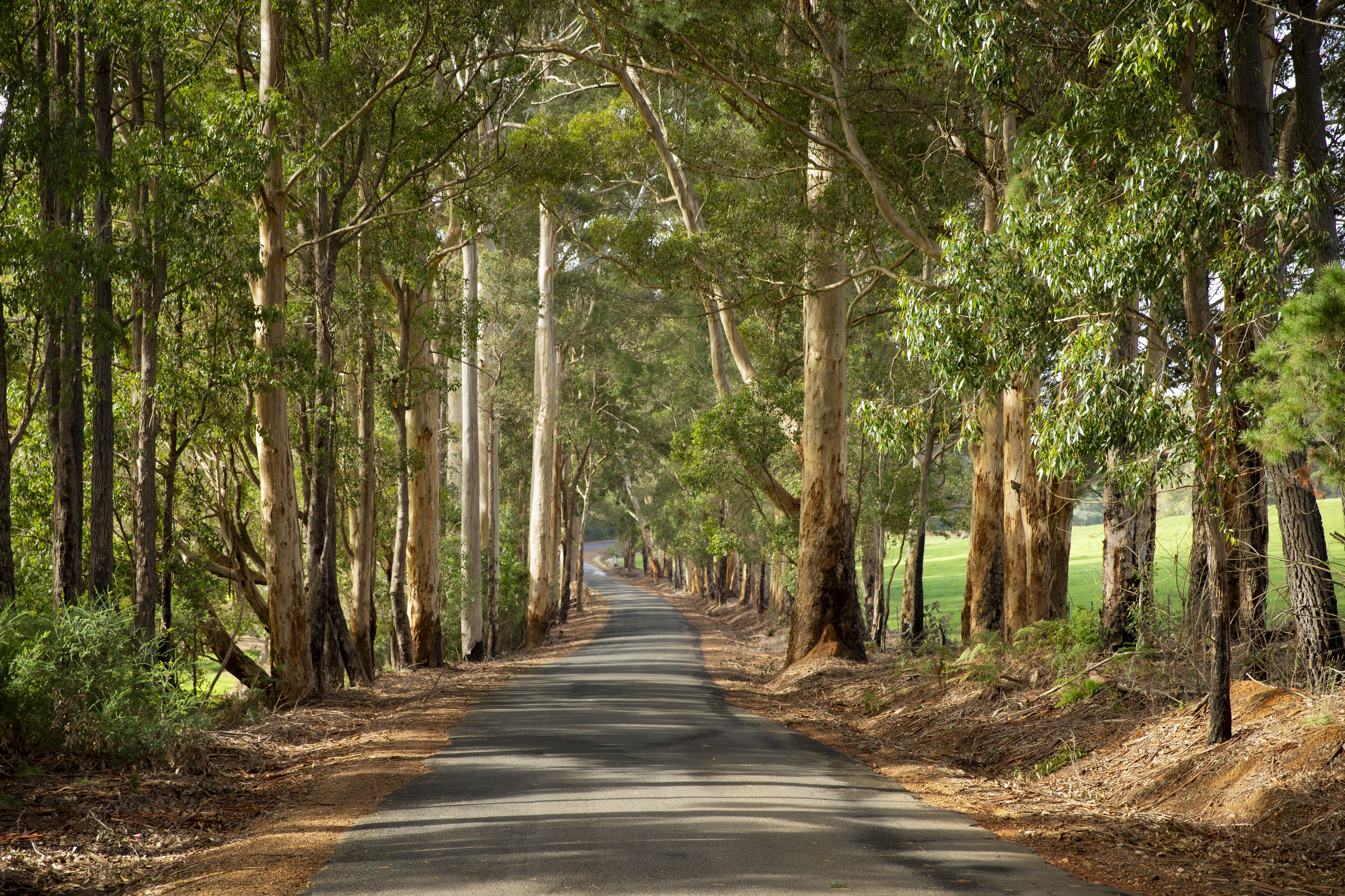Beyond the Farm Gate