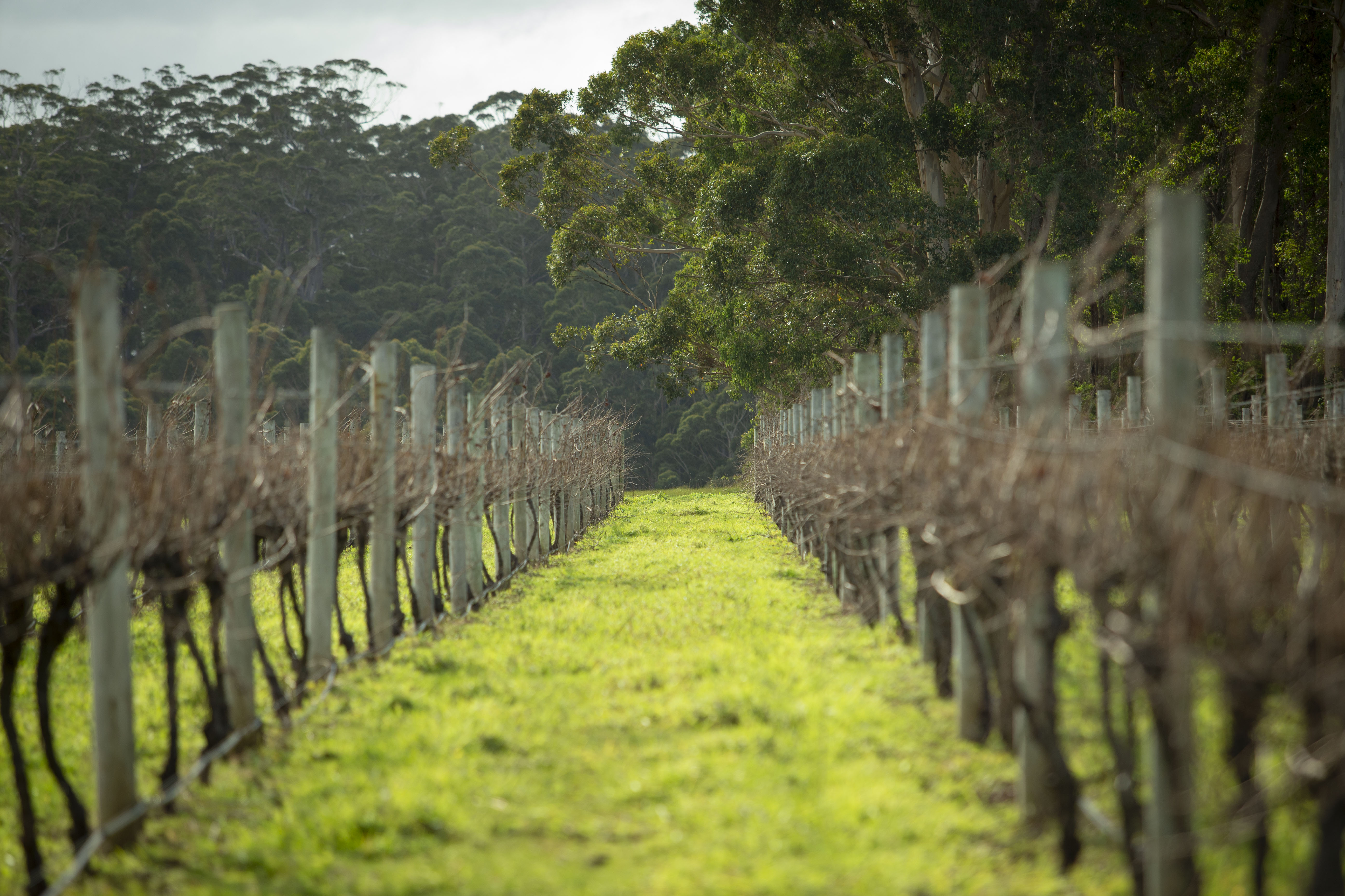 Beyond the Farm Gate