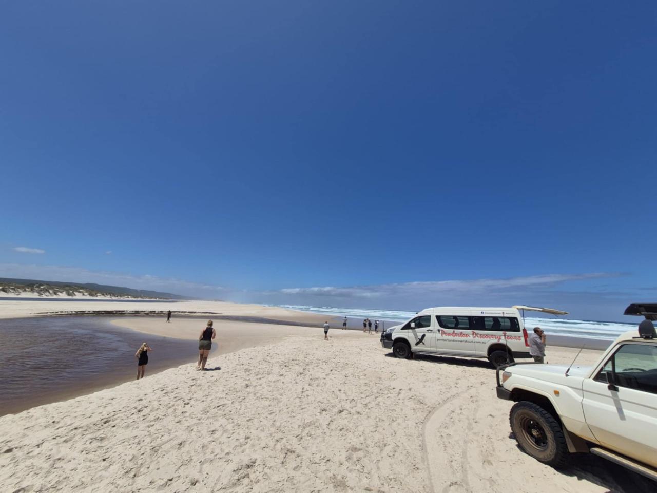 Beach & Forest Tag Along tour