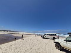 Beach & Forest Tag Along tour