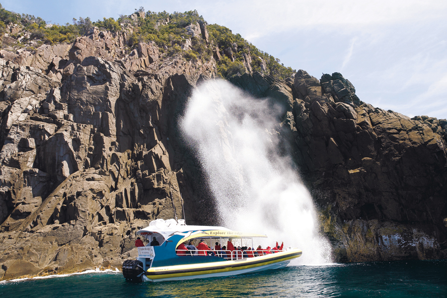 Bruny Island Cruises 3 Hour Cruise with Kettering Bus Pickup