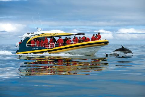 Tasman Island Cruises Tasmania Australia