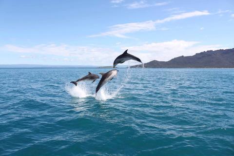 Wineglass Bay Cruise Tasmania Australia