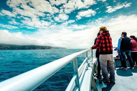 Wineglass Bay Cruise Tasmania Australia