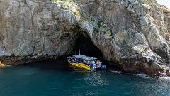 Maria Island Cruises (Cruise + Walk including Lunch)