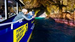 Maria Island Cruises Full Day Tour from Hobart