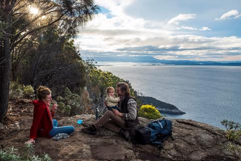 Fluted Cape Walk Tasmania Australia