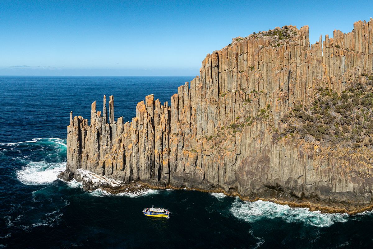 Cape Raoul Cruises (Cruise Only)