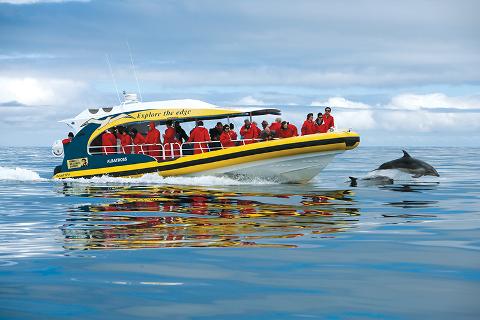 Bruny Island Cruises Full Day Tour from Hobart Tasmania Australia